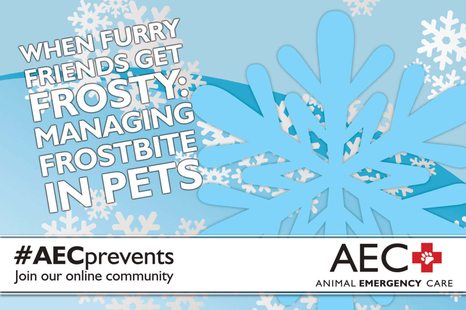 When Furry Friends Get Frosty: Managing Frostbite in Pets - Animal ... - Frostbite Prevention For Pets