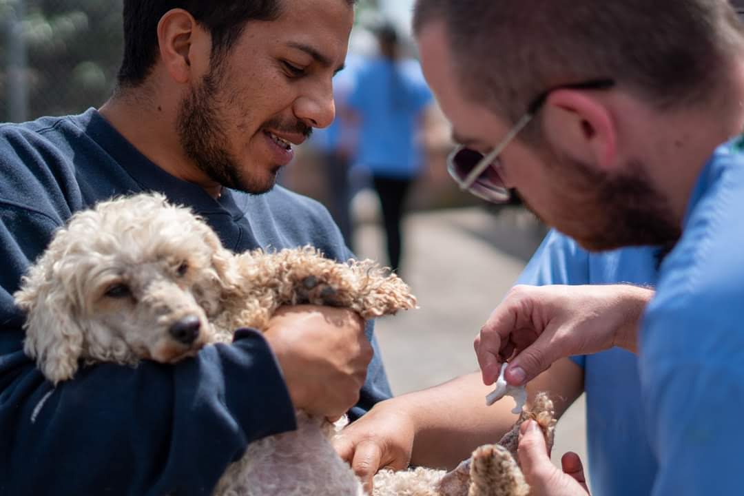 Ecuador - June 2019