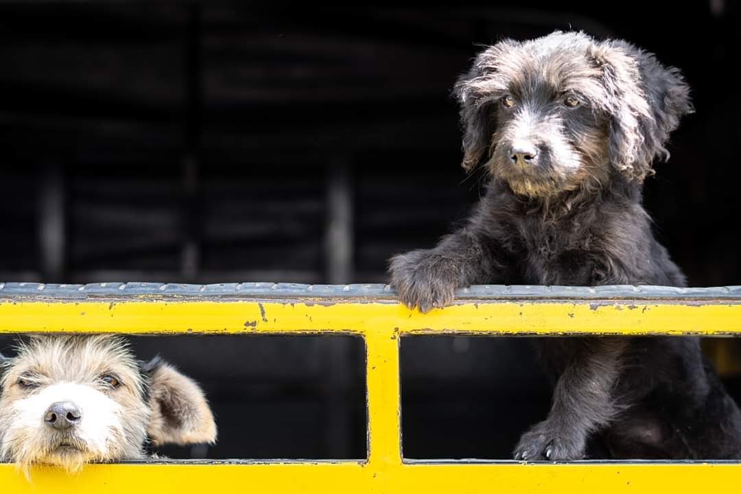 Ecuador - June 2019