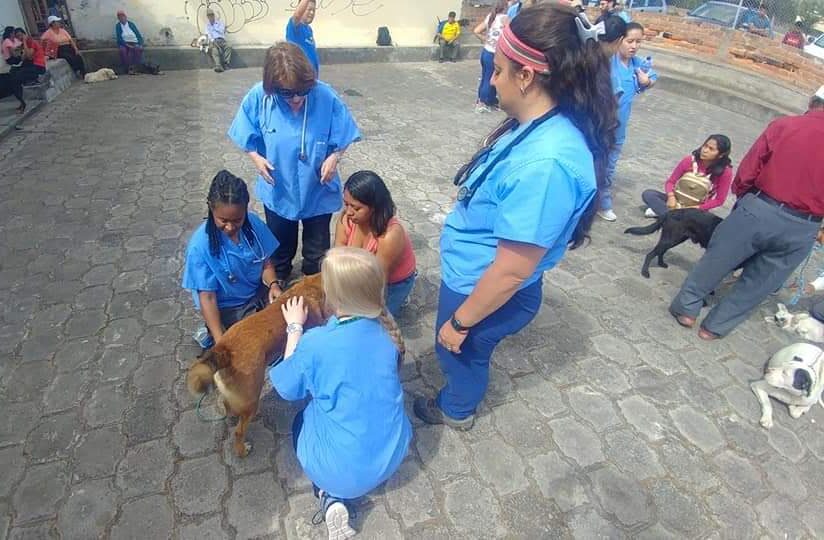 Ecuador - June 2019