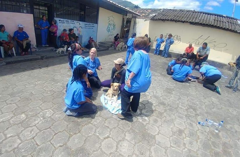 Ecuador - June 2019