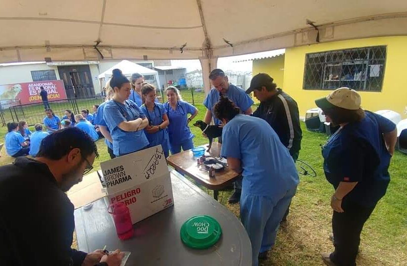 Ecuador - June 2019
