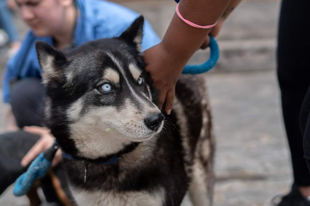 Ecuador - June 2019