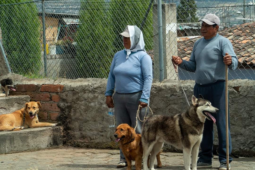 Ecuador - June 2019