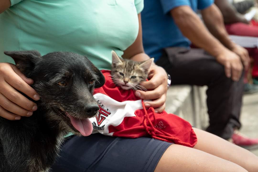 Ecuador - June 2019