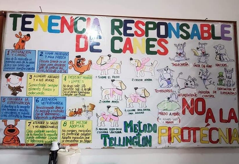 Peru - January 2020