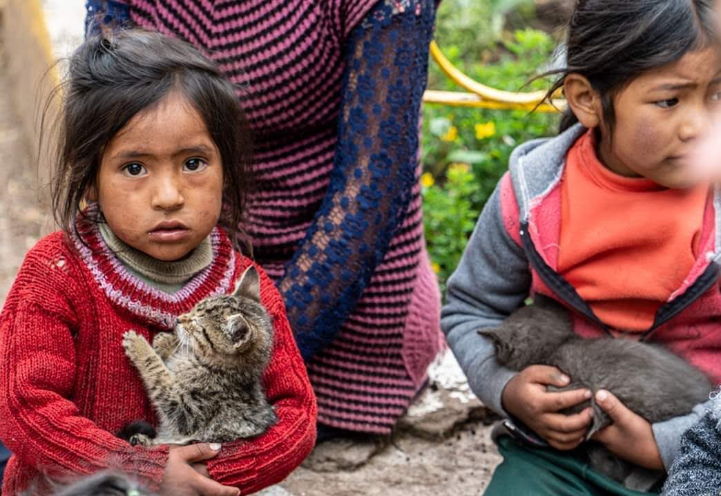 Peru - January 2020