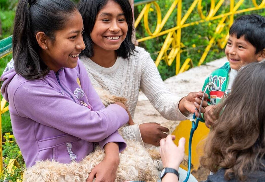 Peru - January 2020