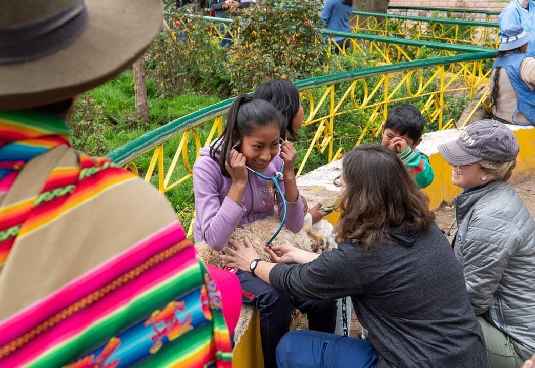Peru - January 2020