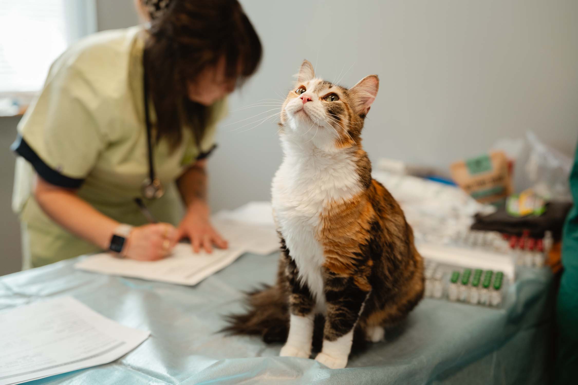 Lummi Nation (Lhaq'temish) Mackenzie Residence Center - June 4th and July 2nd, 2025