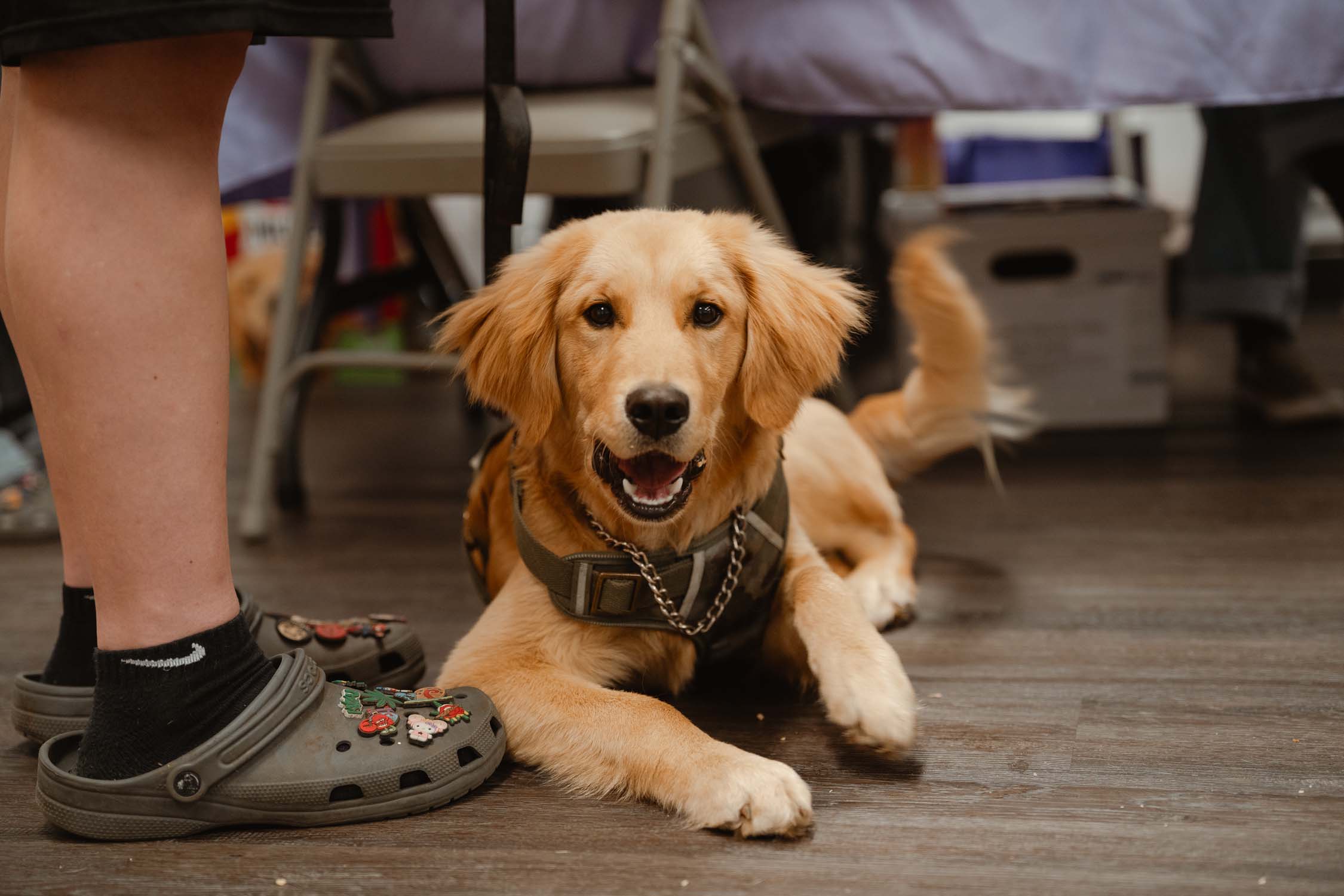 Lummi Nation (Lhaq'temish) Mackenzie Residence Center - June 4th and July 2nd, 2025