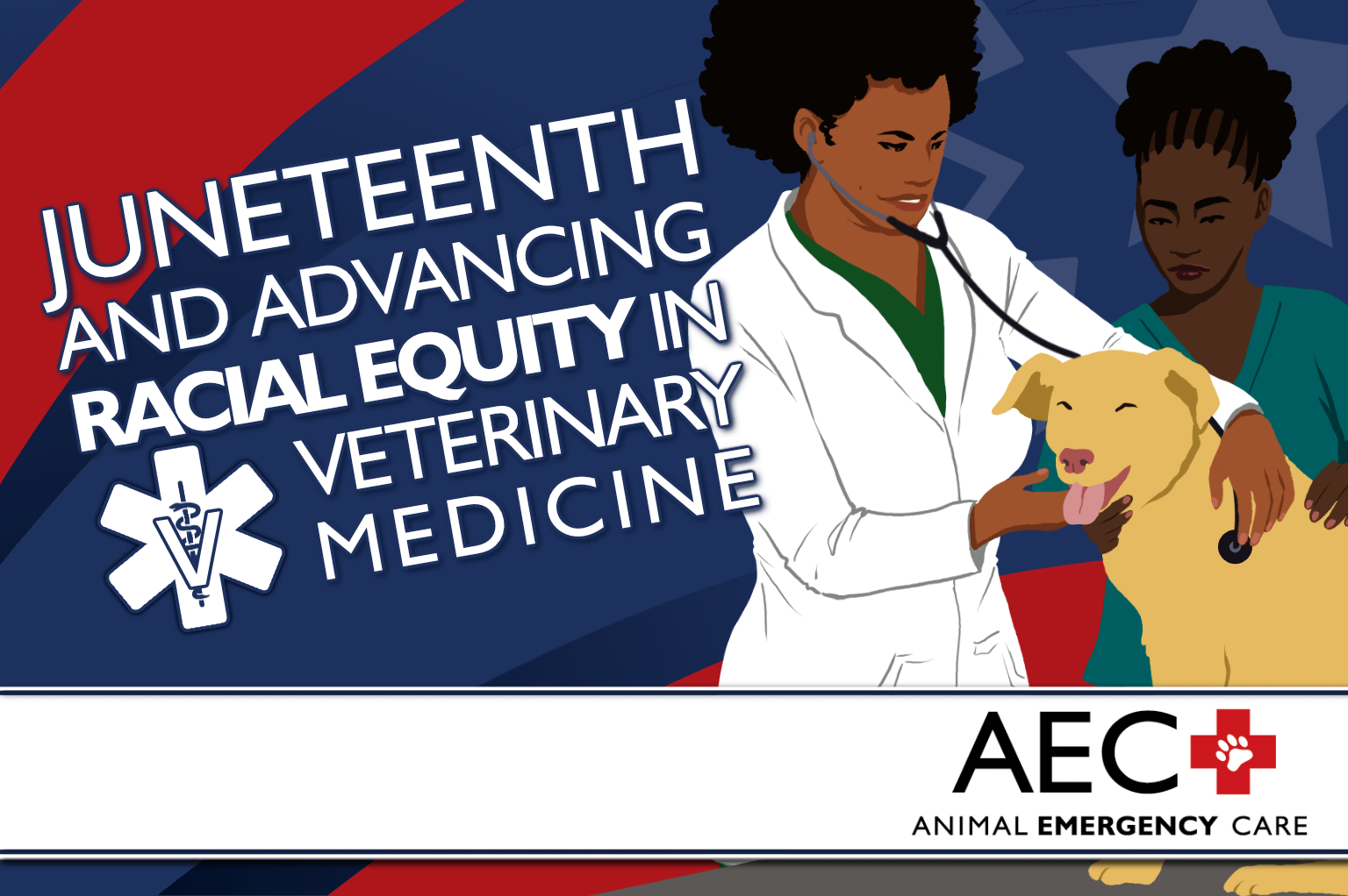 An illustrated blog header image featuring the title text "Juneteenth and Advancing Racial Equity in Veterinary Medicine." A Black woman in a white lab coat listens to the heart of a yellow lab with her stethoscope while a Black veterinary technician in green scrubs handles the patient. The Juneteenth flag colors feature in the banner background.