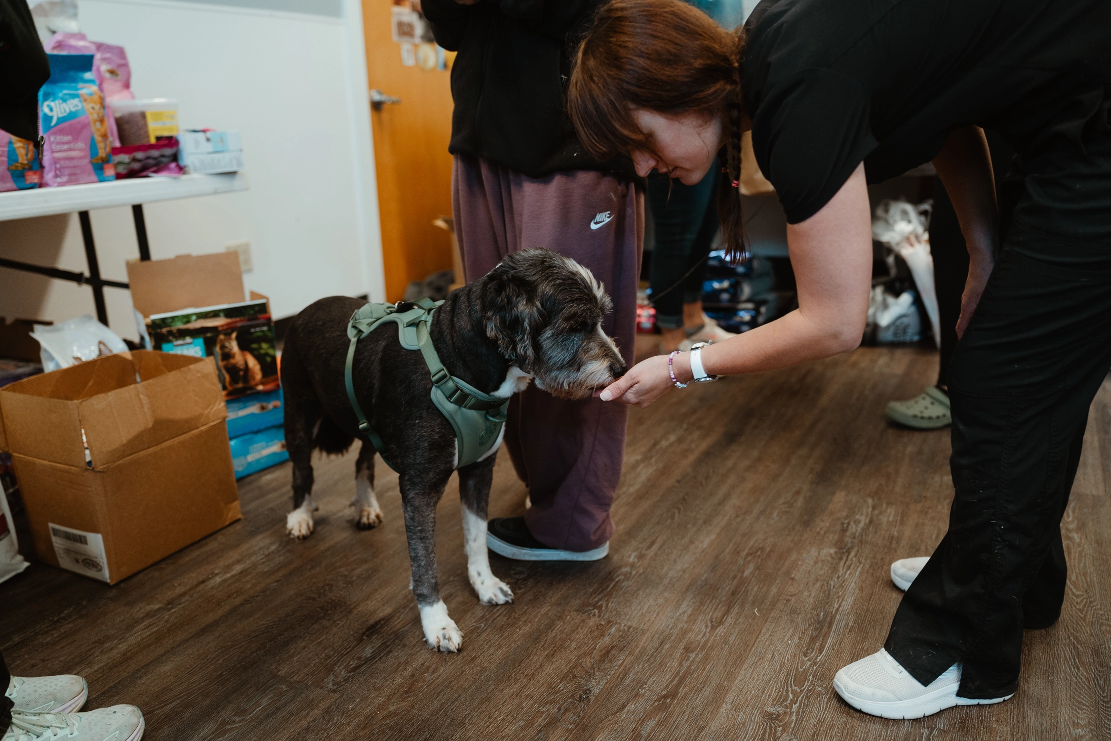 Wellness Clinic for Lummi Nation - Spring 2026