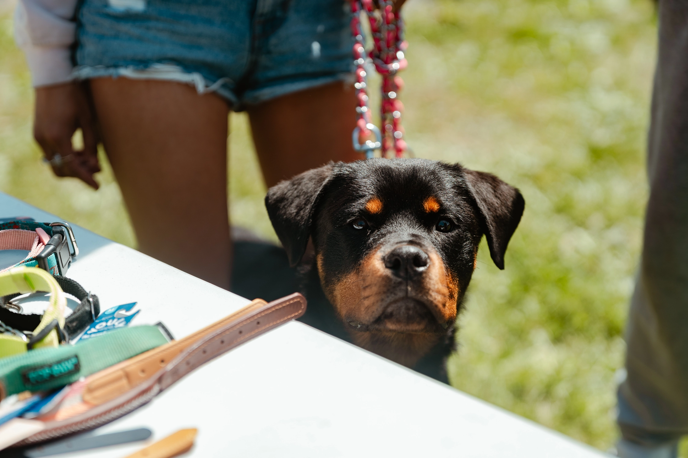 Wellness Clinic for Lummi Nation - Spring 2026
