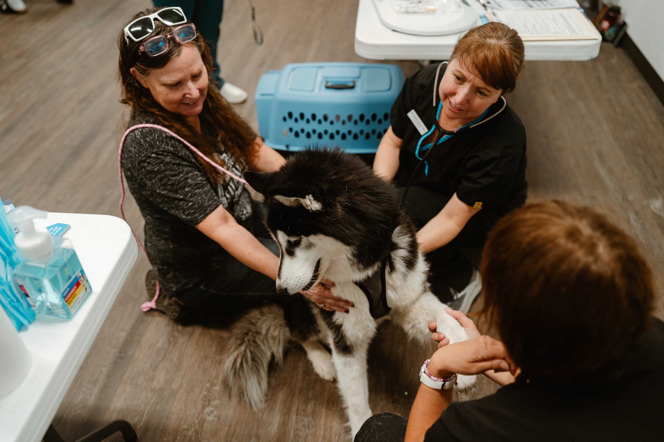 Wellness Clinic for Lummi Nation - Spring 2026