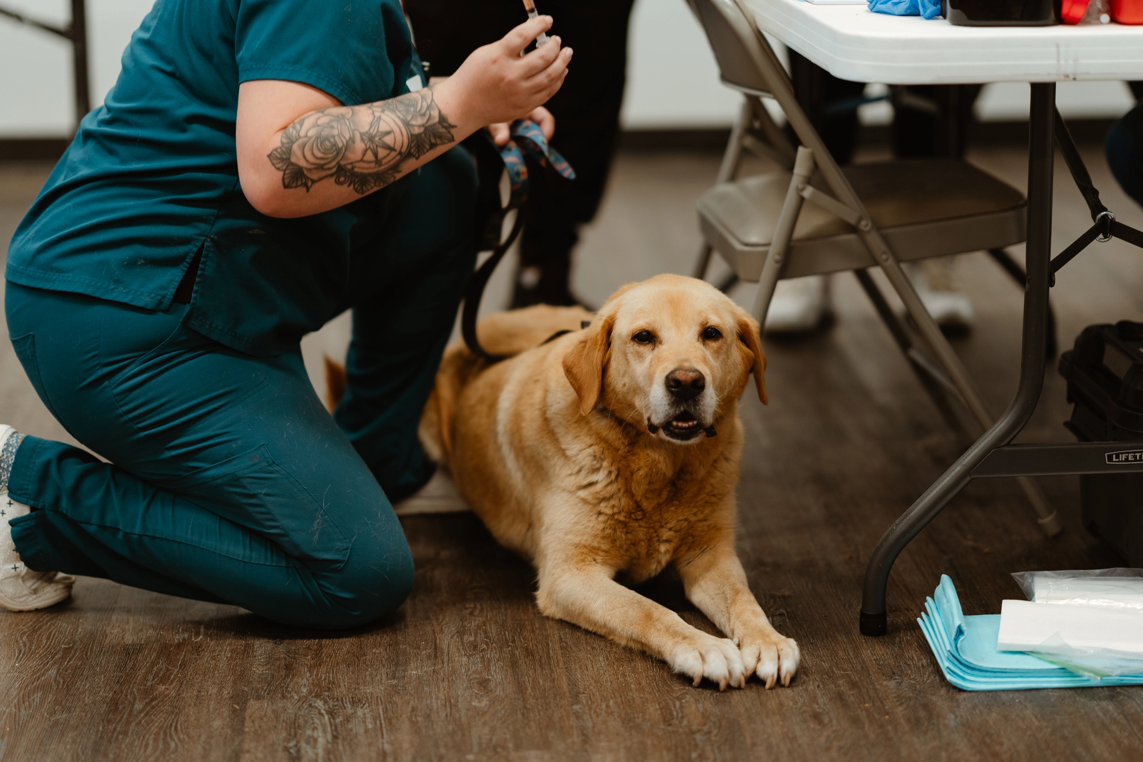 Wellness Clinic for Lummi Nation - Spring 2026
