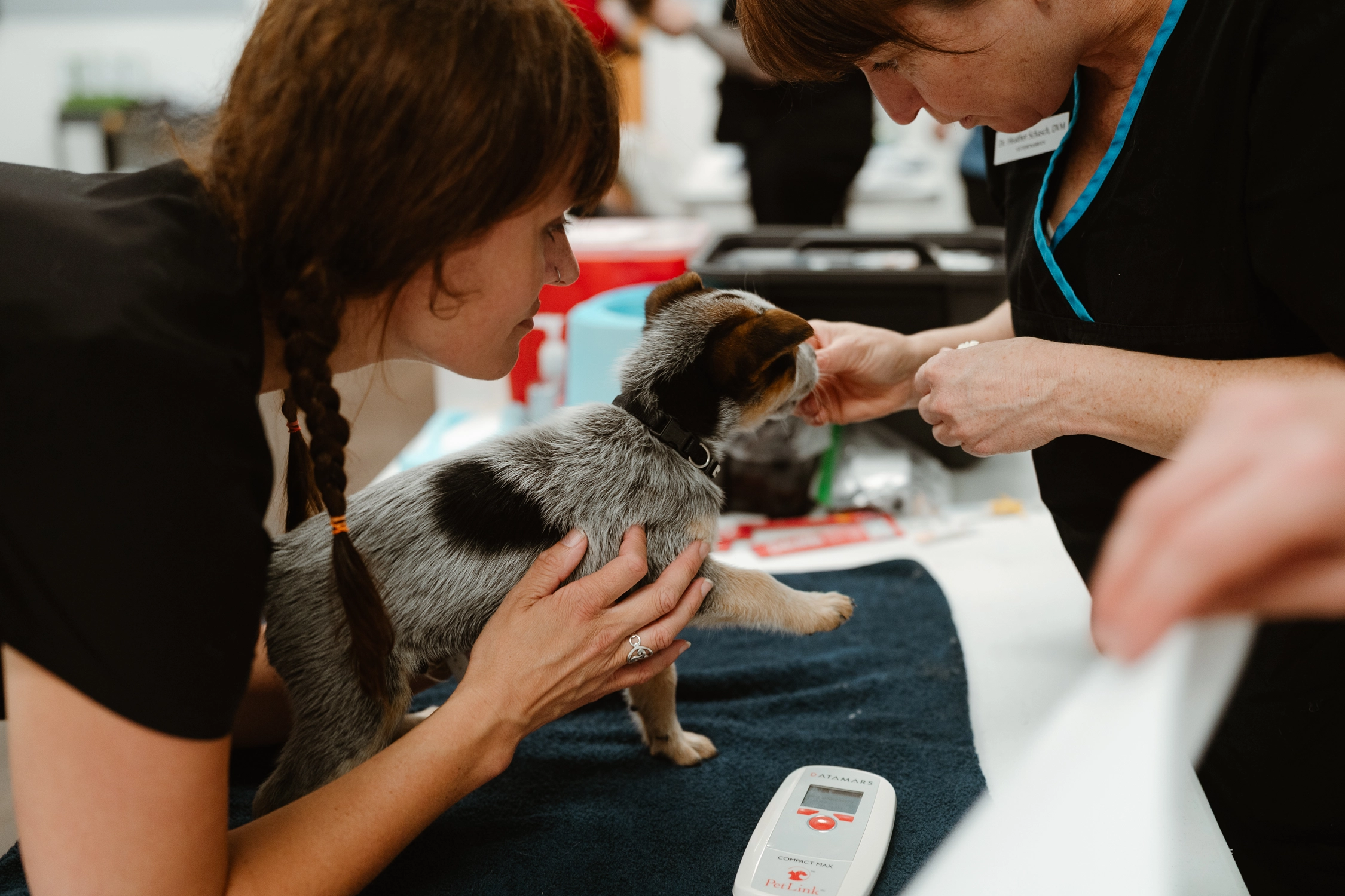 Wellness Clinic for Lummi Nation - Spring 2026
