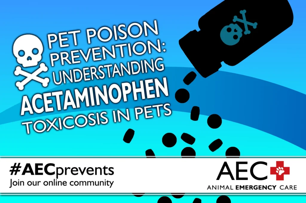 A siholouette of an open medicine bottle with a poison symbol spills pills onto a blue background. The blog title Pet Poison Prevention: Understanding Acetaminophen Toxicosis in Pets is prominent, along with the blog series subheading for AECprevents.