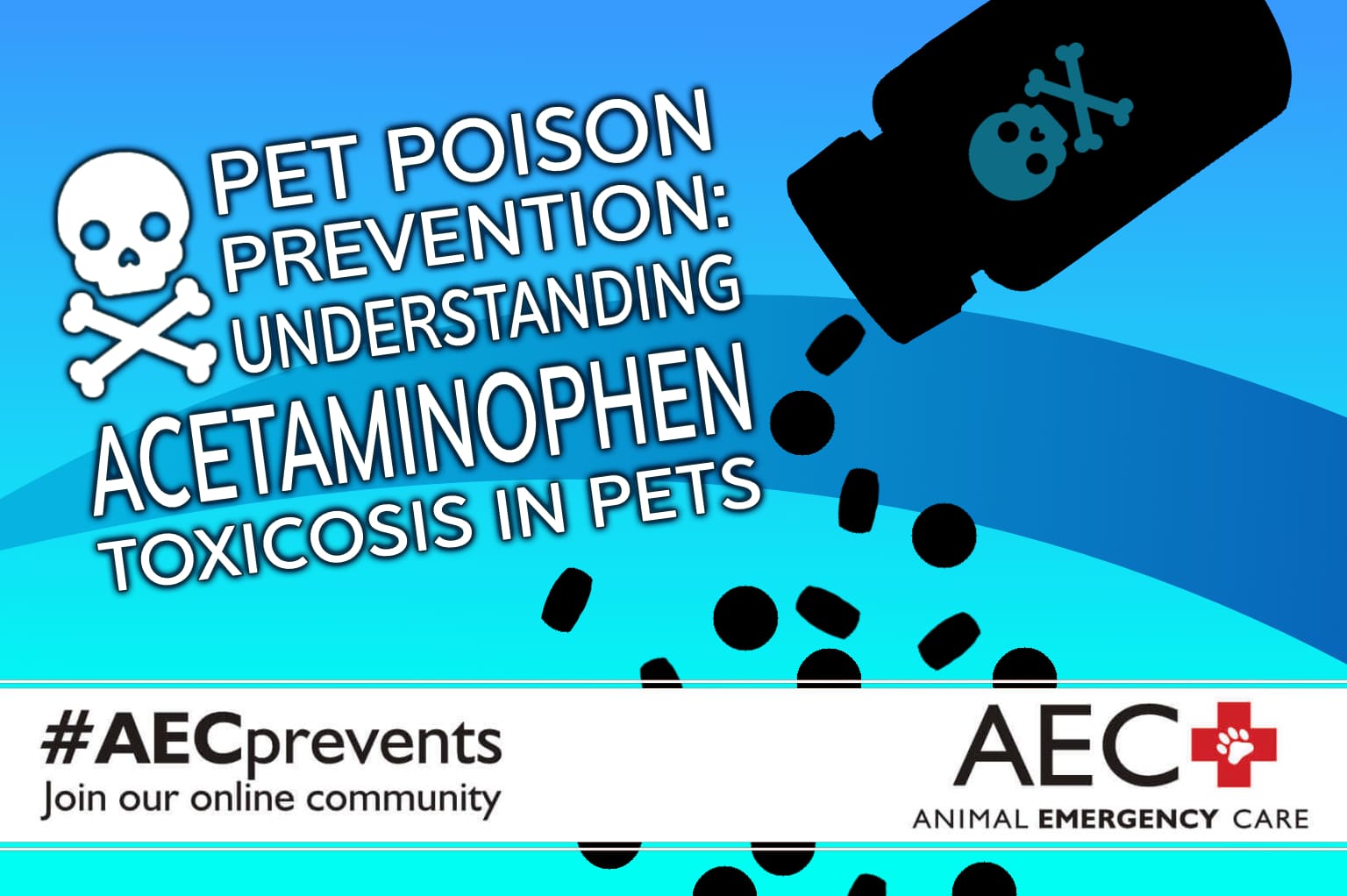 A siholouette of an open medicine bottle with a poison symbol spills pills onto a blue background. The blog title Pet Poison Prevention: Understanding Acetaminophen Toxicosis in Pets is prominent, along with the blog series subheading for AECprevents.