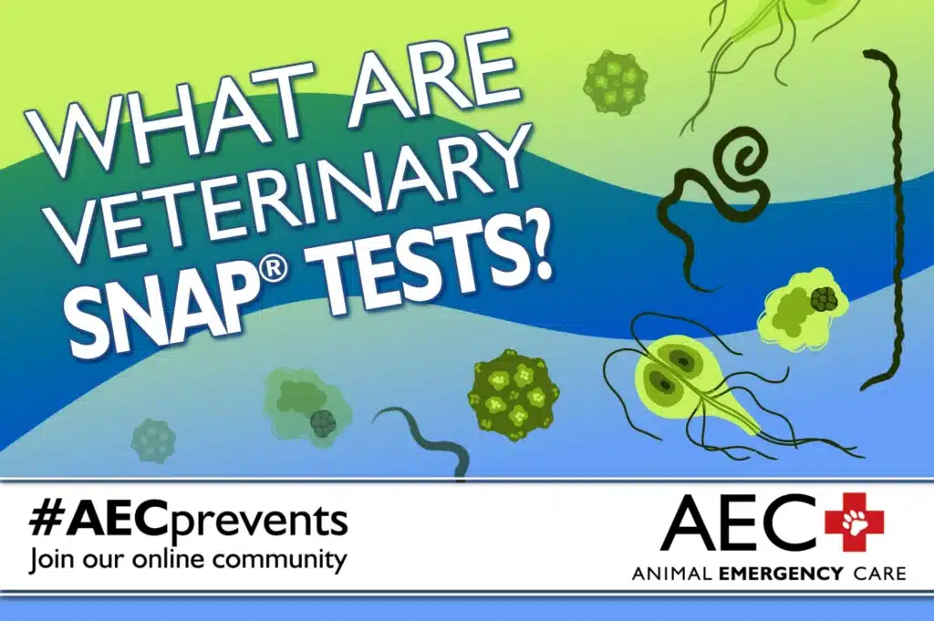 The blog title "What Are Veterinary Snap Tests?" is surrounded by drawings of microbes in shades of green, with a banner at the bottom advertising the blog series hashtag #AECprevents. Header image for a blog about the purpose of a SNAP test.